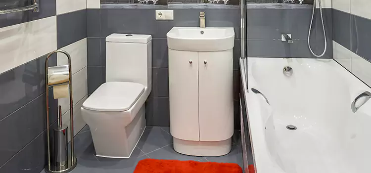 Hansgrohe Shaving Mirror Claremore